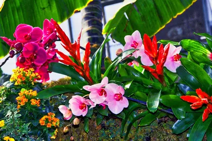 Фото