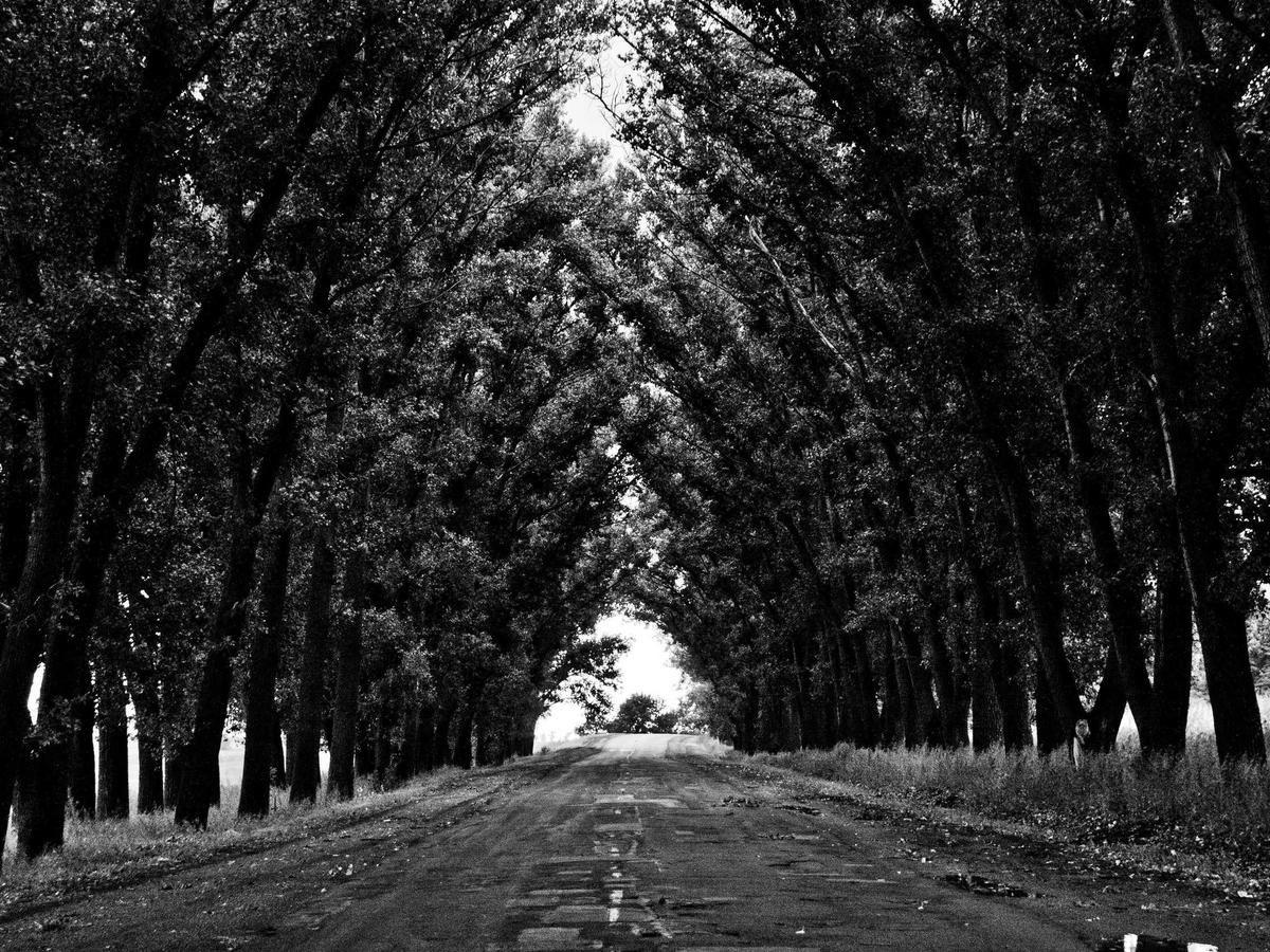 Фото