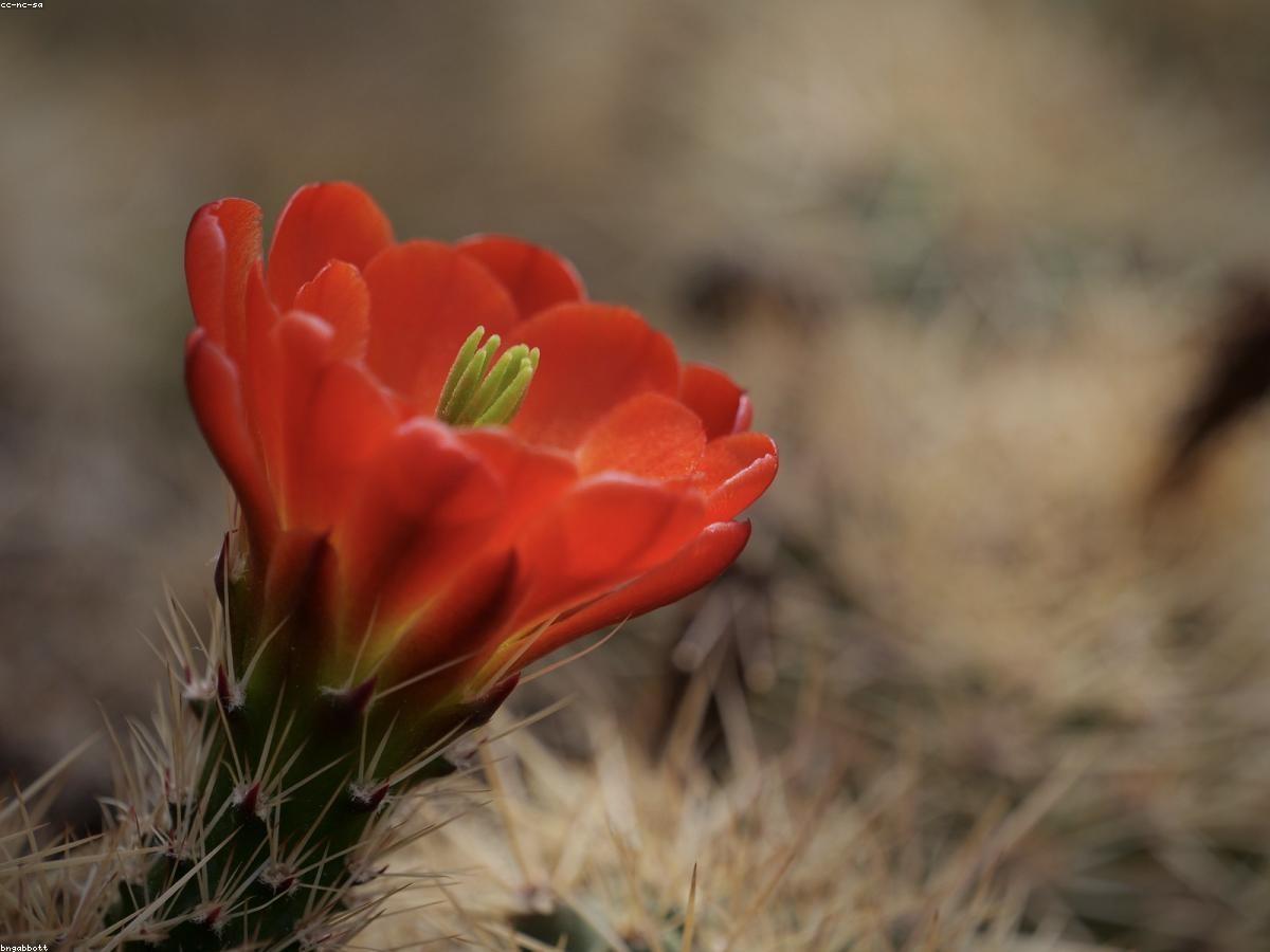 Фото