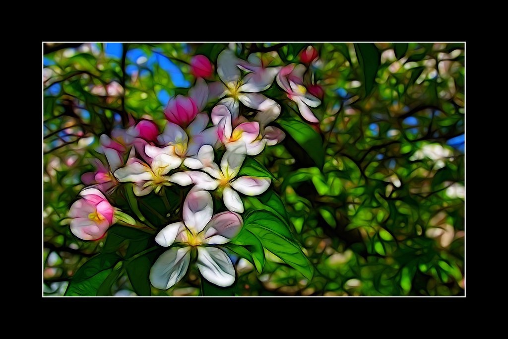 Фото