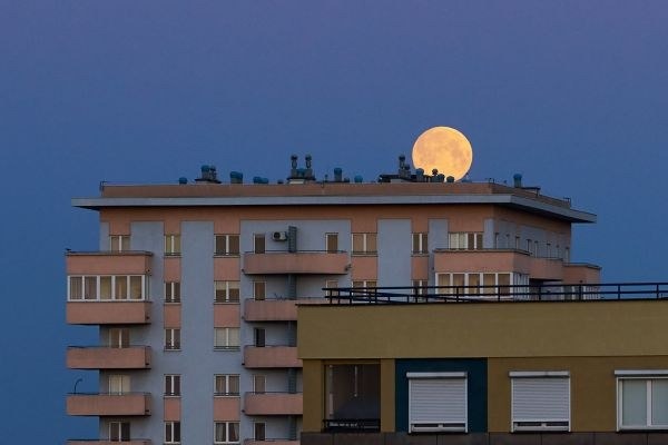 Фото