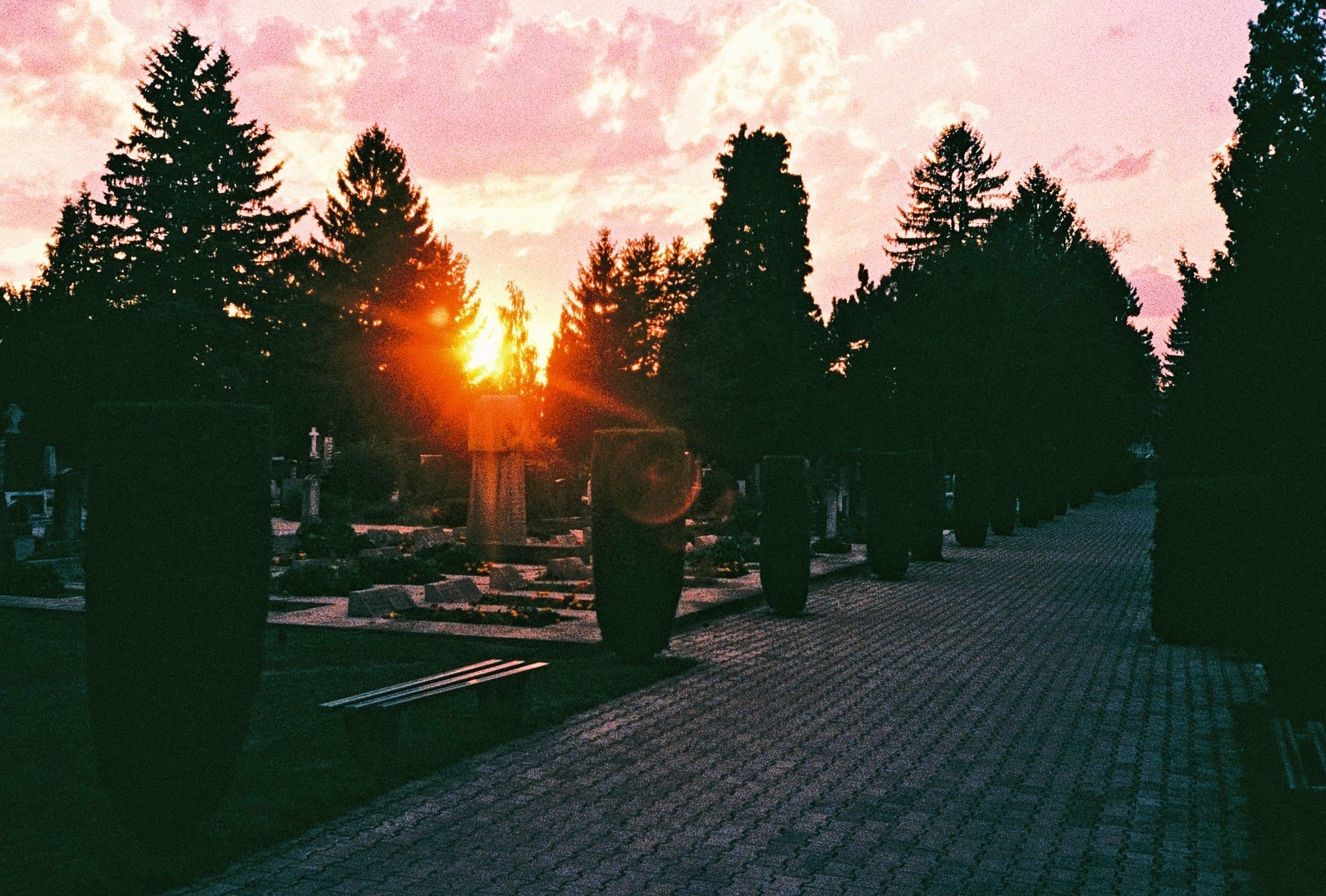 Фото