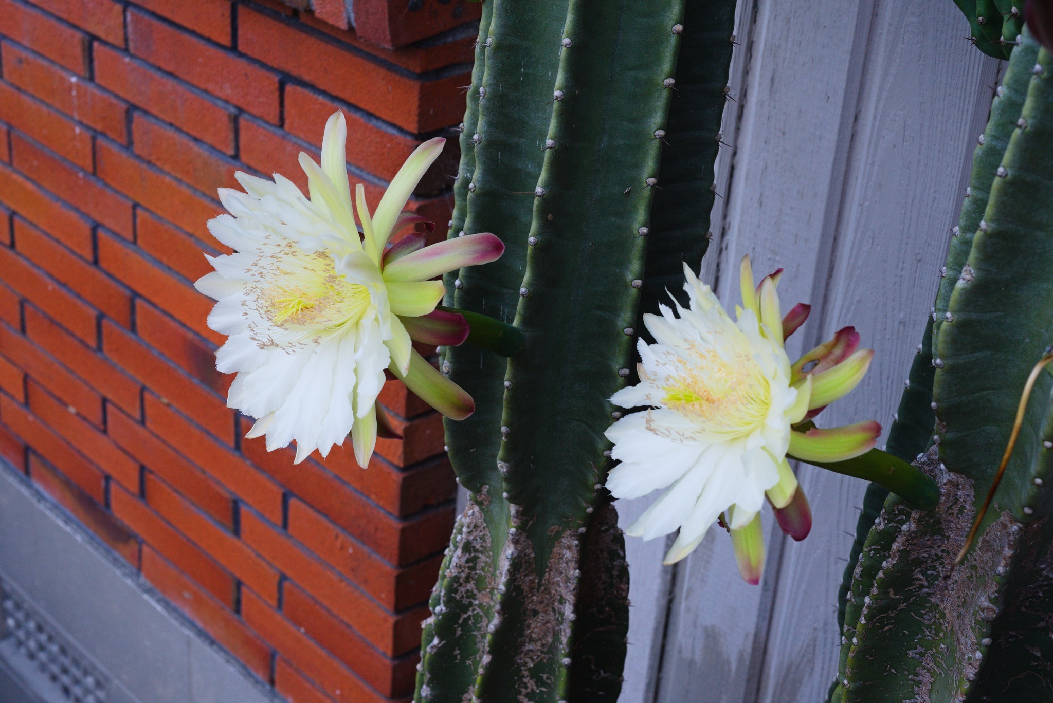 Фото