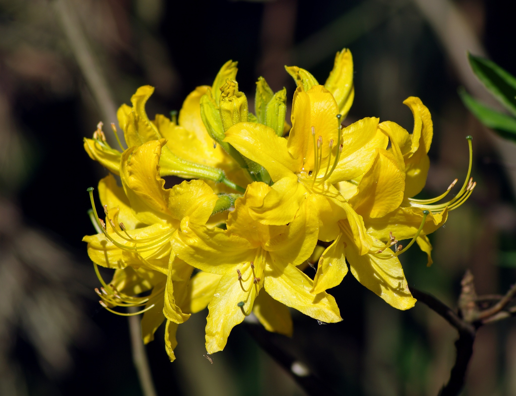 Фото