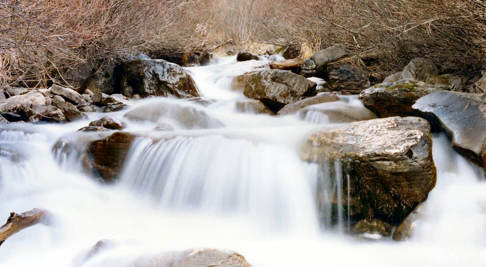 Фото