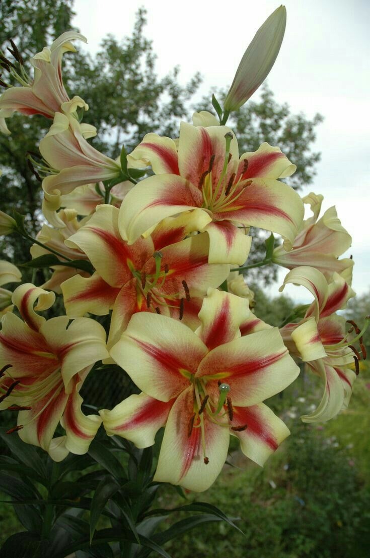 Фото